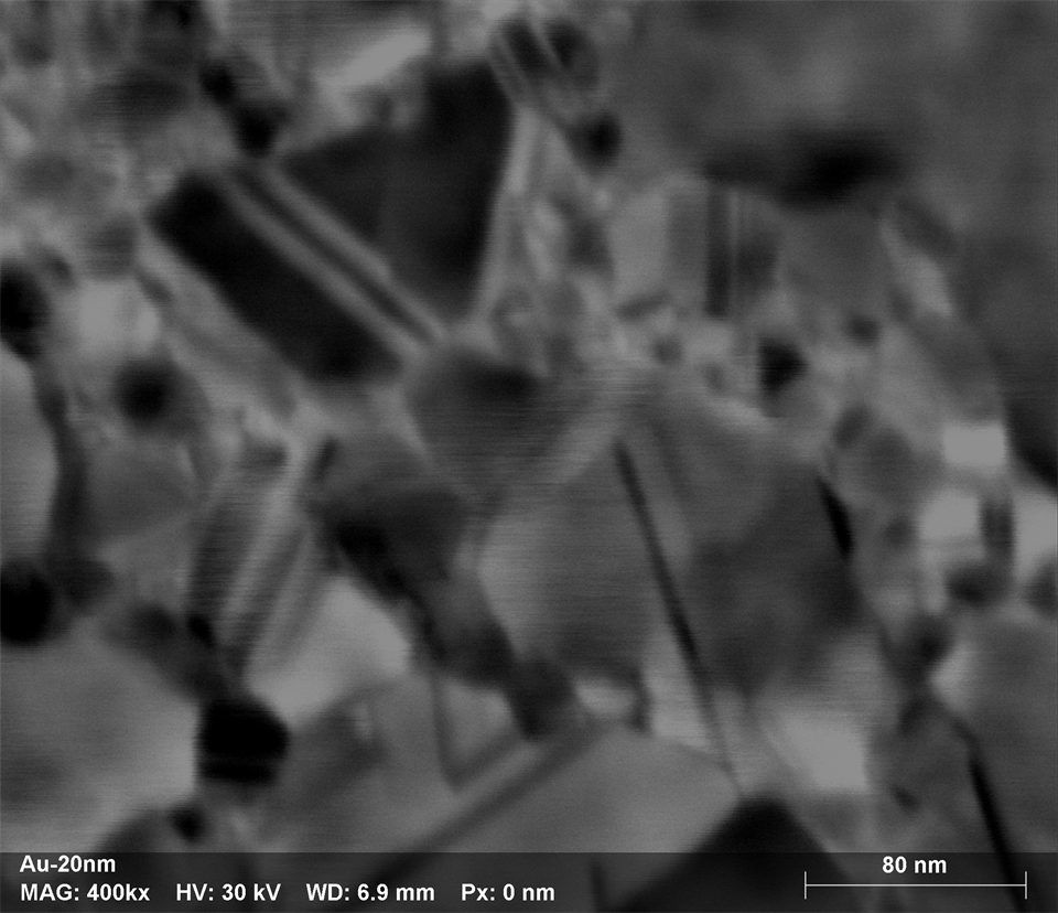 Au 20nm