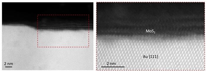 MoS2 Sample