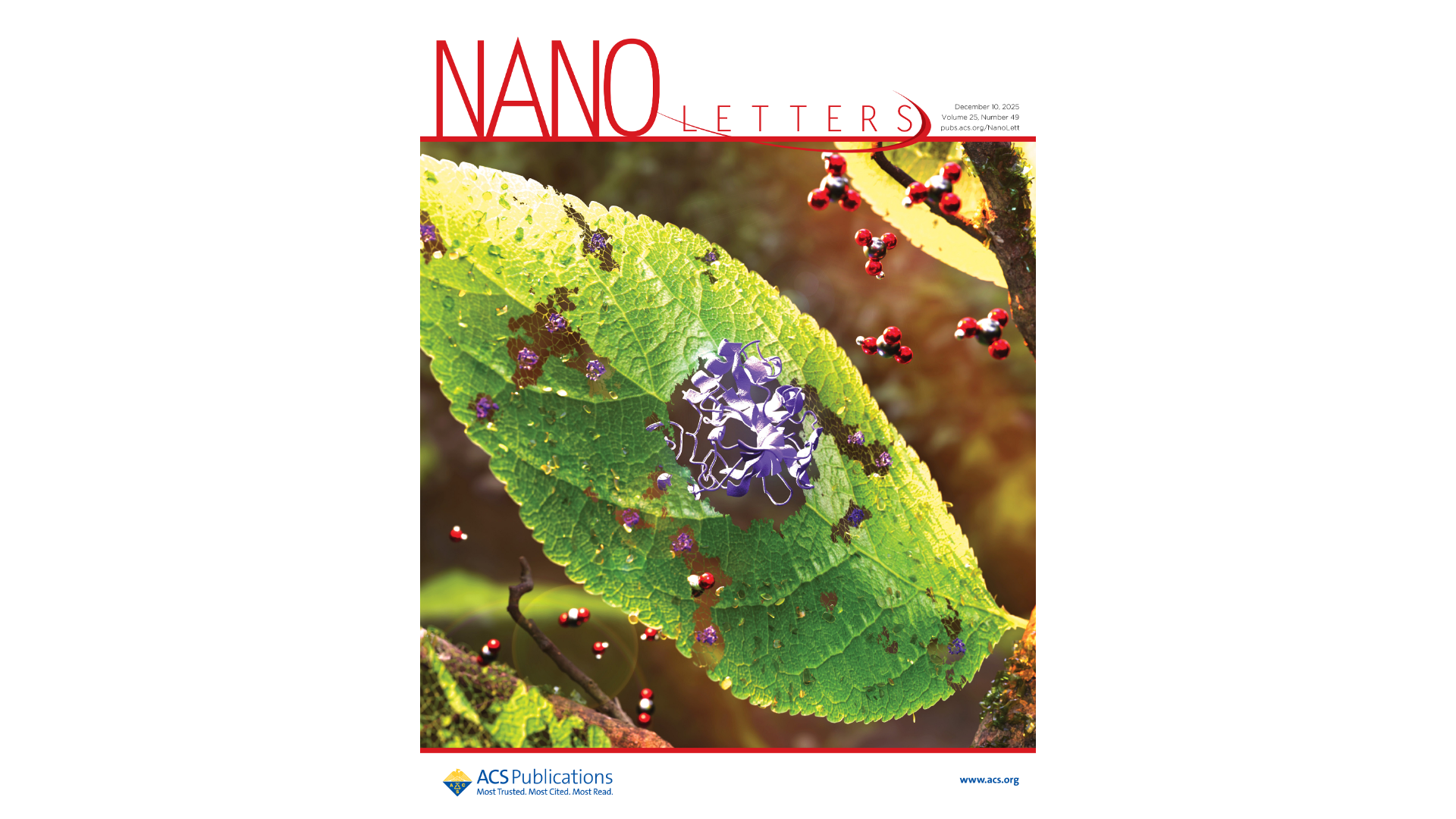 Nano Letters Cover December 2025