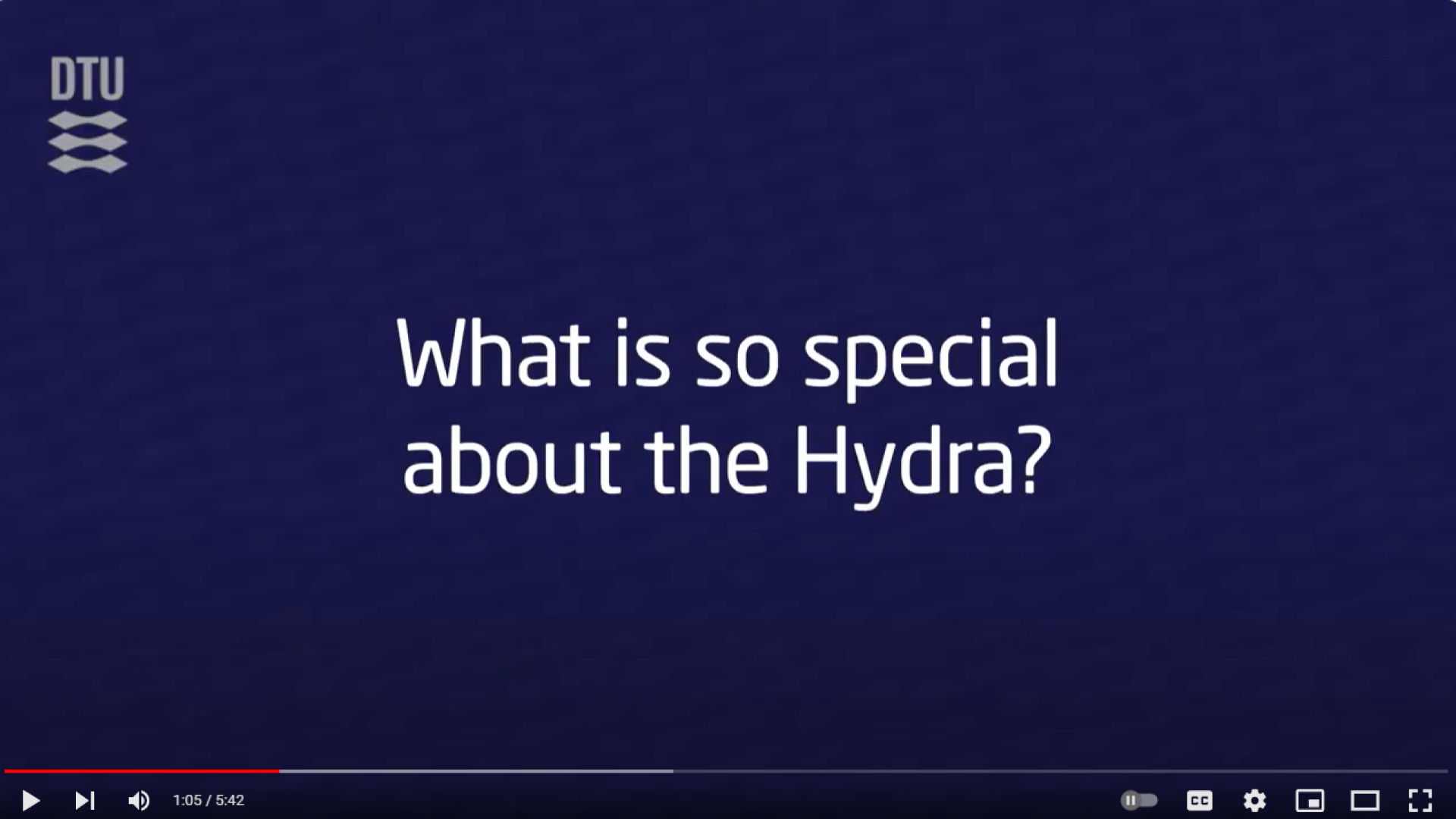picture to the video -what is hydra-